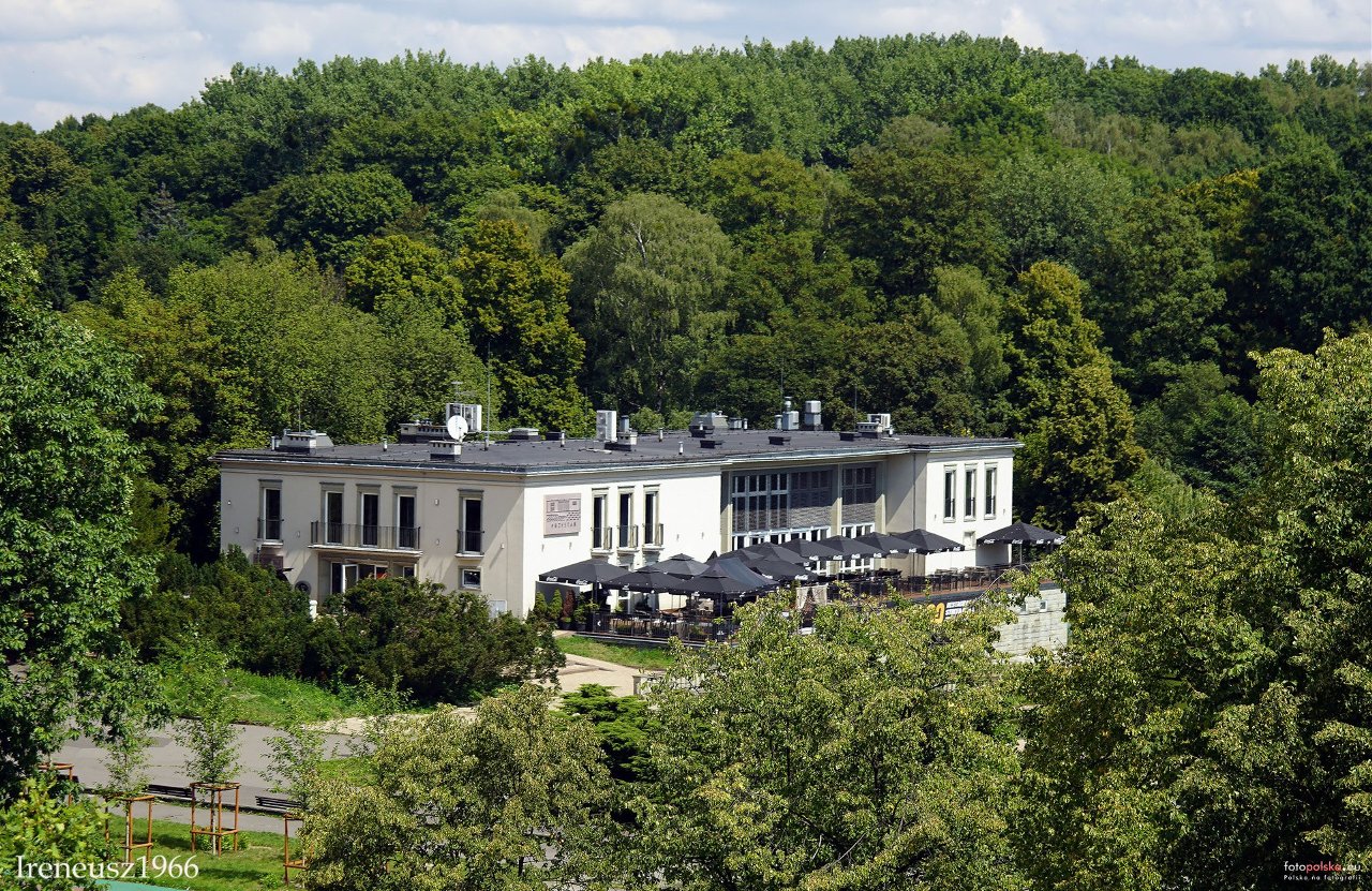 adwokat gliwice